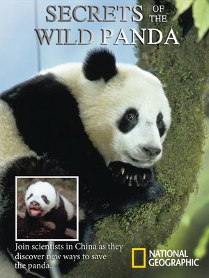 cover image of Secrets of the Wild Panda